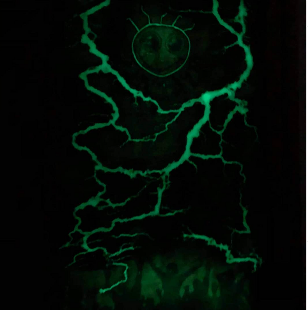 Rave Wall Art - Fantazia