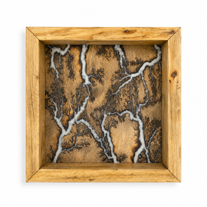 Bespoke Lichtenberg Wall Art