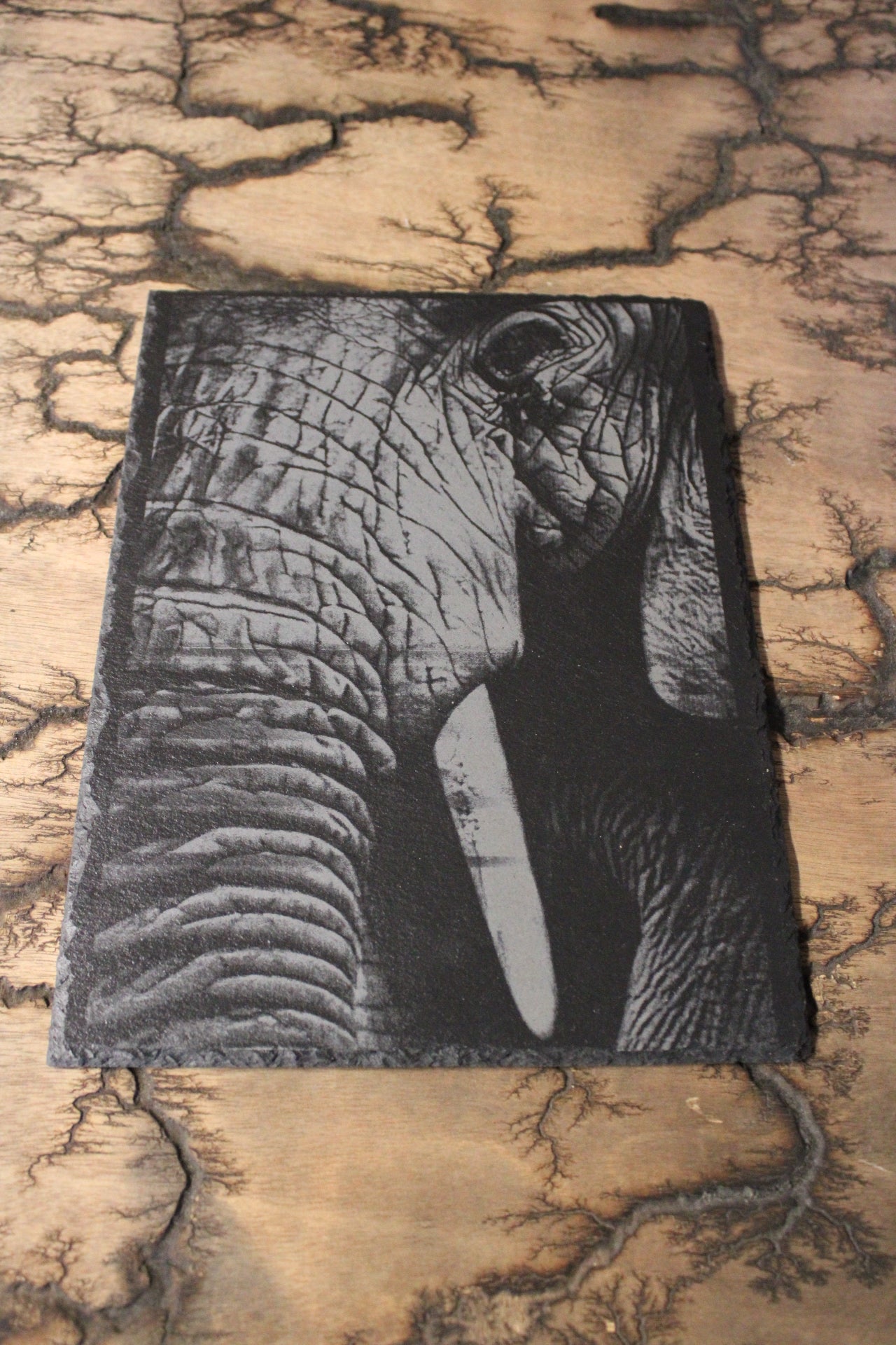 Elephant Engraving