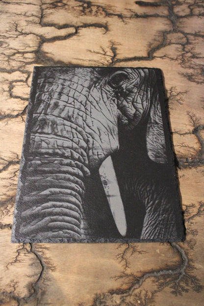 Elephant Engraving