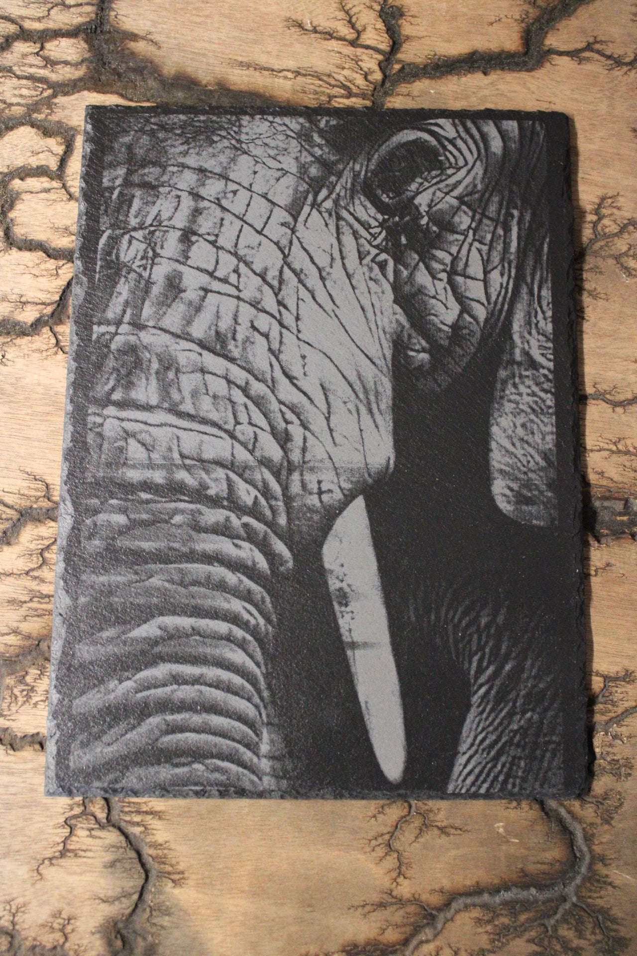 Elephant Engraving