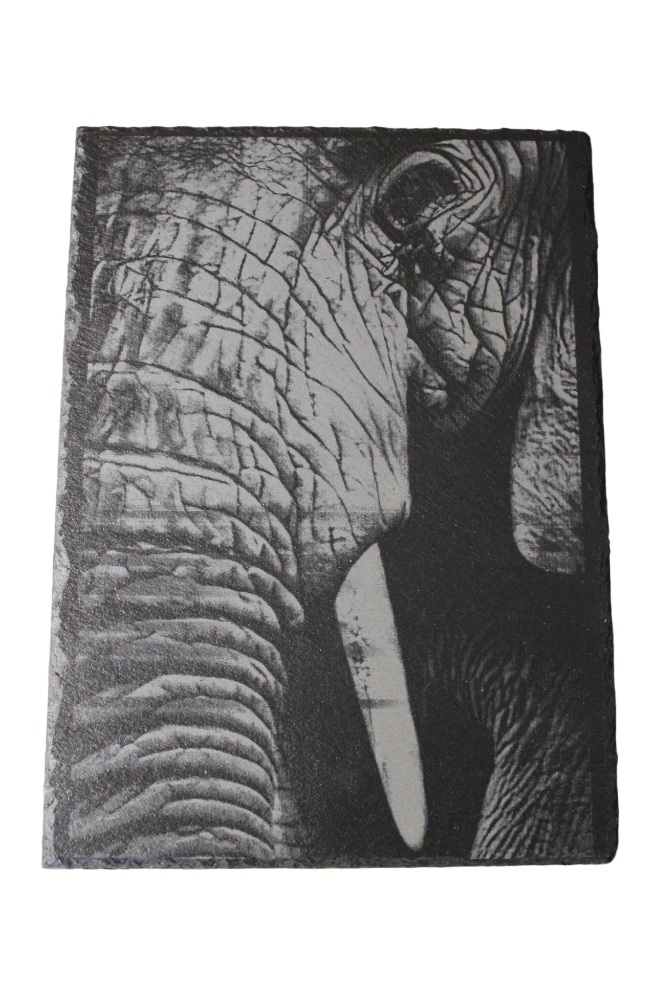 Elephant Engraving
