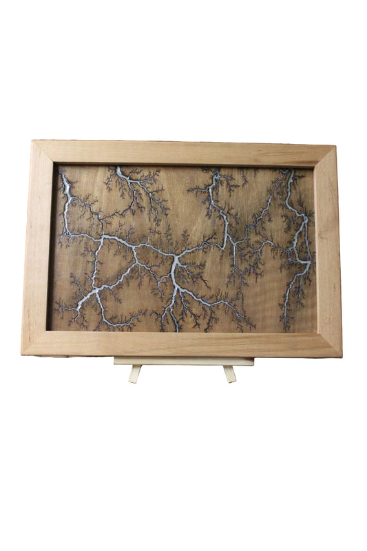 Lichtenberg Wall Art White Resin