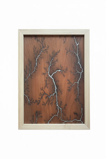 Bespoke Lichtenberg Wall Art