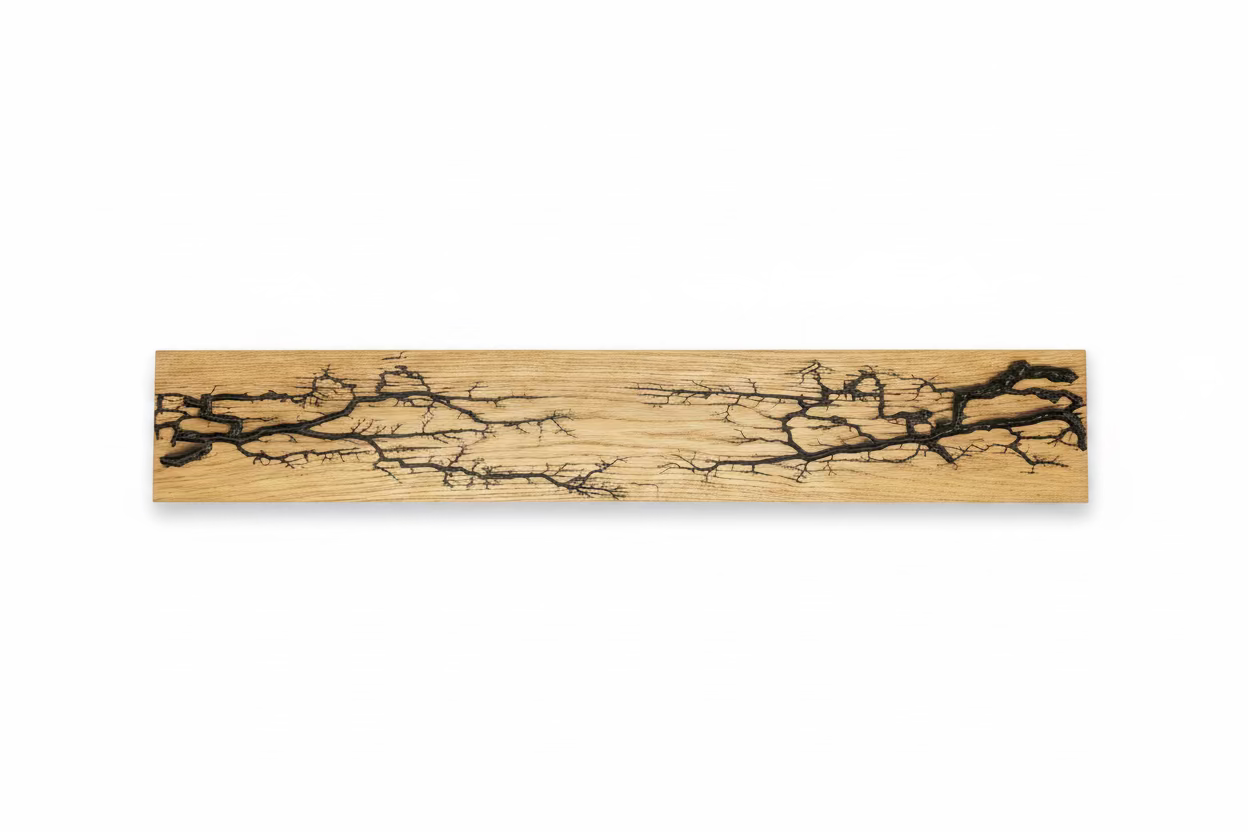 Lichtenberg Coat Rack - Black Resin
