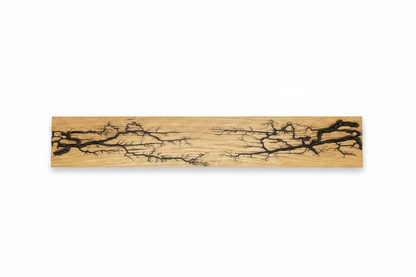 Lichtenberg Coat Rack - Black Resin