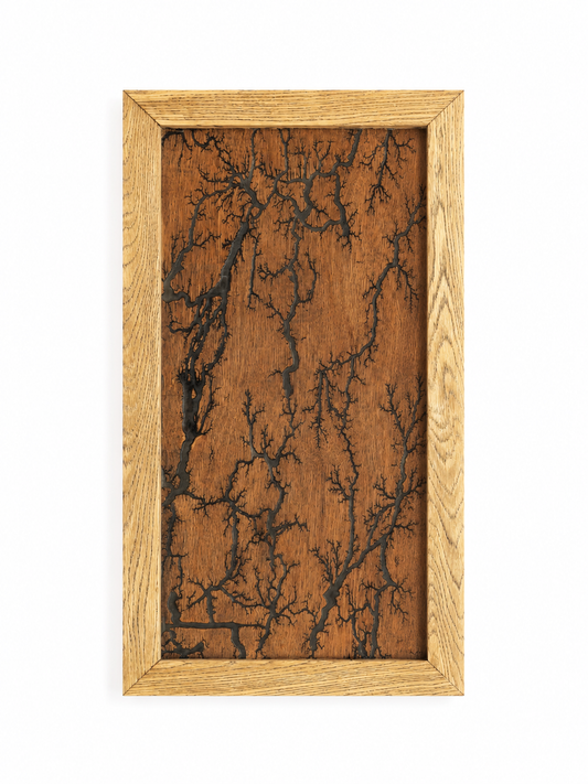 Lichtenberg Wall Art Green Resin - Photo Luminescent