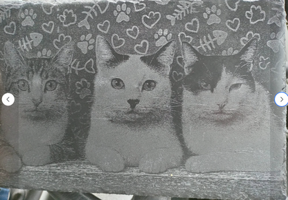 Pet Portrait Engraved On Slate