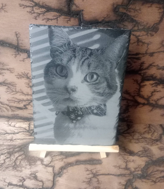 Pet Portrait Engraved On Slate - Bespoke